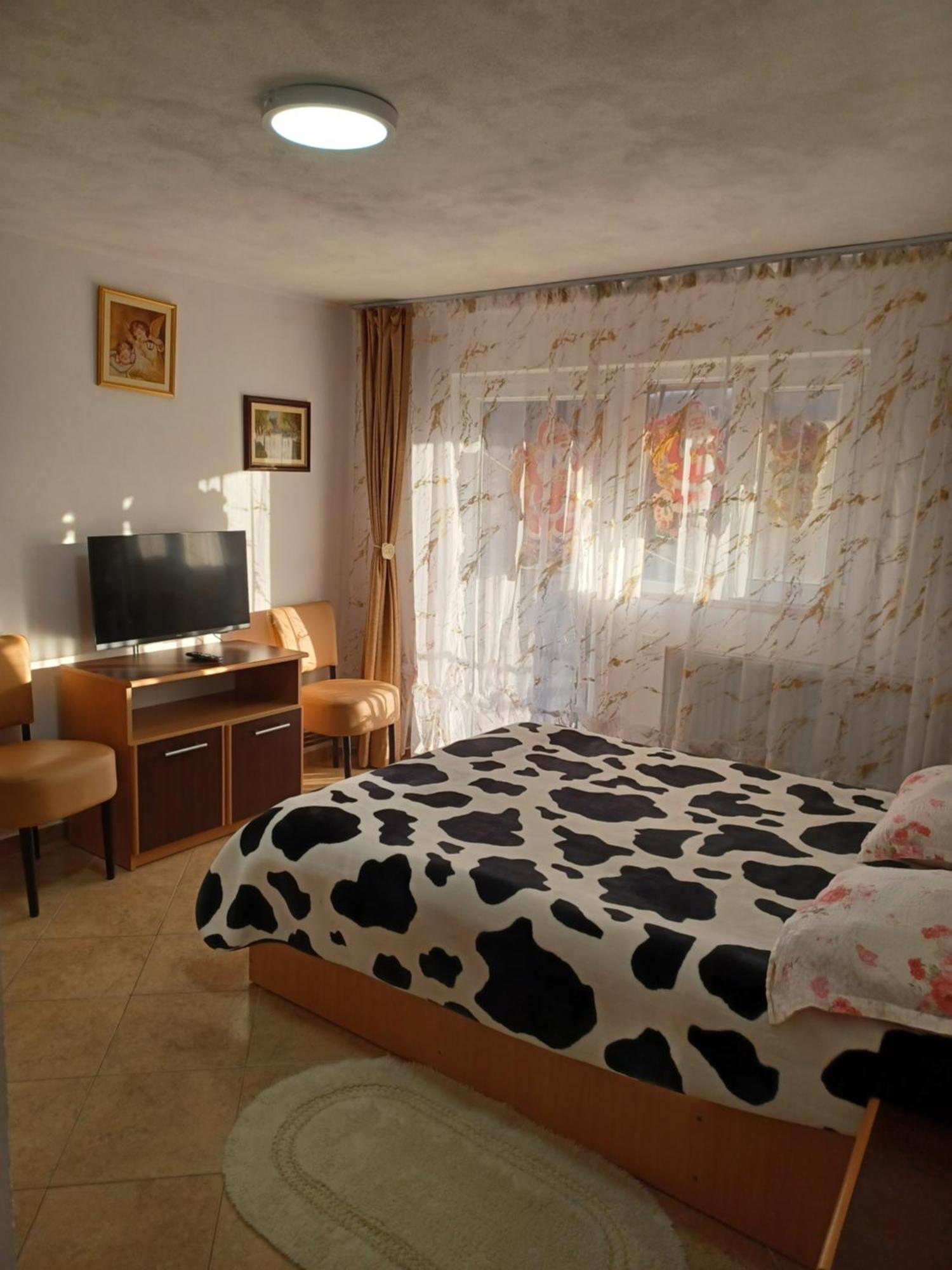 Casa Mariana - Comuna Arefu, Transfagarasan Căpăţîneni-Ungureni Exterior foto